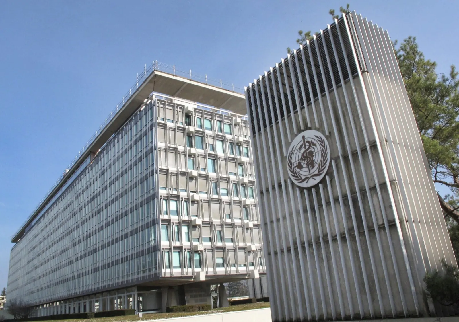 World Health Organization conference scene 2